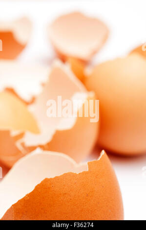 broken eggs shells Stock Photo