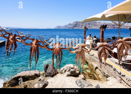 Octopuses hanging on a line outside a seafront taverna in Ammoudi, Santorini, Cyclades, Greece Stock Photo
