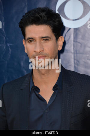 LOS ANGELES, CA - AUGUST 10, 2015: Raza Jaffrey at the CBS - Showtime & CW Summer TCA Party at the Pacific Design Centre, West Hollywood. Stock Photo