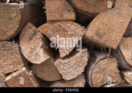 logs piled up ready to use as fire wood Stock Photo