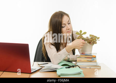 Cute little girl is a teacher sitting at a desk with a laptop, books and notebooks Stock Photo