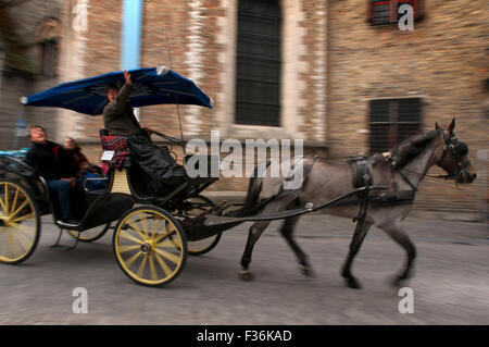 Horse and Carriage. One of the most familiar SOUNDS of Bruges is the clatter of horseshoes on cobbles as parties of tourists tak Stock Photo