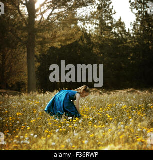 little girl with blue dress picking flowers in a field Stock Photo