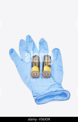 12 Gauge Ga Shotgun Cartridges in Blue Latex Forensic Glove Stock Photo