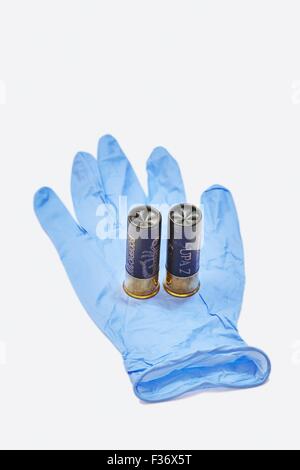 12 Gauge Ga Shotgun Cartridges in Blue Latex Forensic Glove Stock Photo