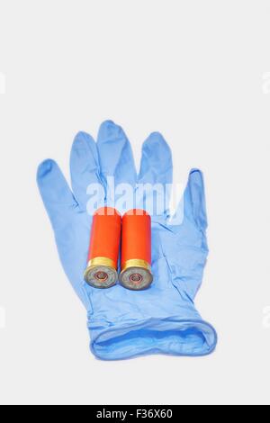 12 Gauge Ga Shotgun Cartridges in Blue Latex Forensic Glove Stock Photo