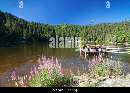 Mummelsee lake, Black Forest National Park, Baden-Wuerttemberg, Germany Stock Photo