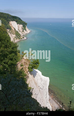 Chalk cliffs, Rügen, Baltic Sea, Mecklenburg-Western Pomerania, Germany Stock Photo
