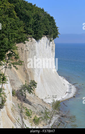 Chalk cliffs, Rügen, Baltic Sea, Mecklenburg-Western Pomerania, Germany Stock Photo