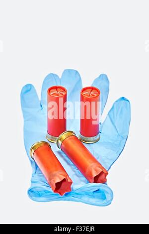 12 Gauge Ga Shotgun Cartridges in Blue Latex Forensic Glove Stock Photo