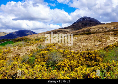 Diamond hill, Connemara National Park, County Galway, Ireland Stock Photo