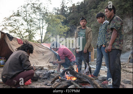 Construction work, Bhutan, Asia Stock Photo: 53922008 - Alamy