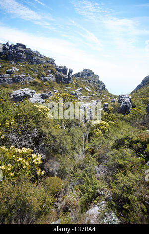 beautiful mountain landscape in South Africa Stock Photo