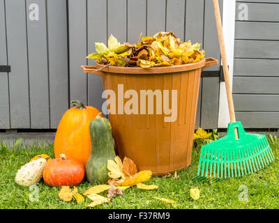 Pile of dead fall leaves dumped into plastic bin, pumpkins and fan rake resting against wooden shed Stock Photo