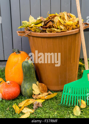 Pile of dead fall leaves dumped into plastic bin, pumpkins and fan rake resting against wooden shed Stock Photo