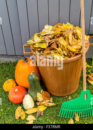 Pile of dead fall leaves dumped into plastic bin, pumpkins and fan rake resting against wooden shed Stock Photo