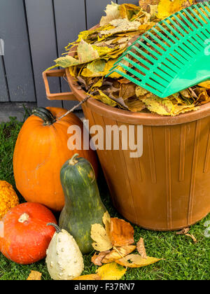 Pile of dead fall leaves dumped into plastic bin, pumpkins and fan rake resting on the bin Stock Photo