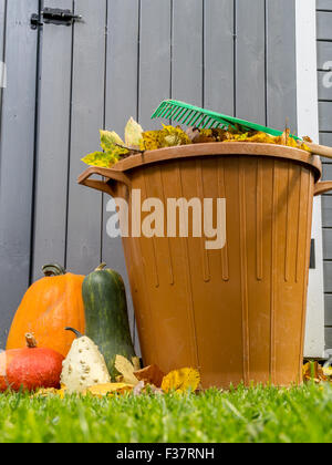 Pile of dead fall leaves dumped into plastic bin, pumpkins and fan rake resting on the bin Stock Photo