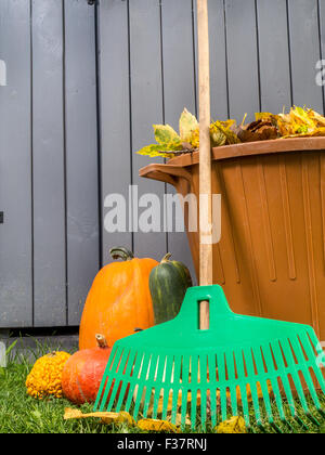 Pile of dead fall leaves dumped into plastic bin, pumpkins and fan rake resting against wooden shed Stock Photo