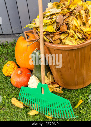 Pile of dead fall leaves dumped into plastic bin, pumpkins and fan rake resting against wooden shed Stock Photo