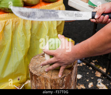 Man splitting fresh coconut Stock Photo