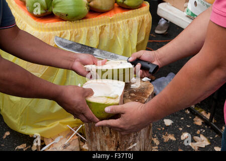 Man splitting a fresh coconut Stock Photo