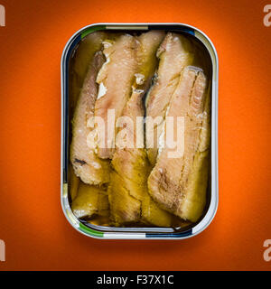 Canned sardines. Stock Photo