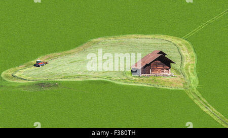 Aerial image of a green agricultural field with working mowing machine in circle around a wooden house. The meadow is filled the Stock Photo