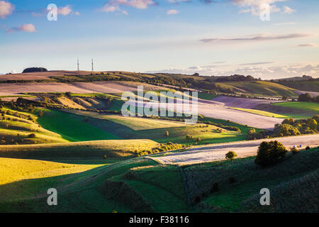 Evening light over the Wiltshire countryside towards Morgan's Hill. Stock Photo