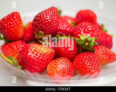 Fresh strawberries were placed in plate on a white background Stock Photo