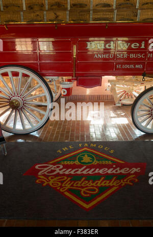 Budweiser brewery tour Merrimack New Hampshire NH Stock Photo