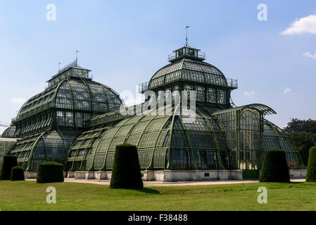 palm house in summerresidence Schloss Schönbrunn, Vienna, Austria, world heritage Stock Photo