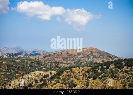 Mediterranean mountain landscape in Greece with olive tree Stock Photo