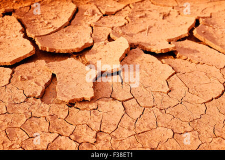 Close up shot of some dried earth Stock Photo