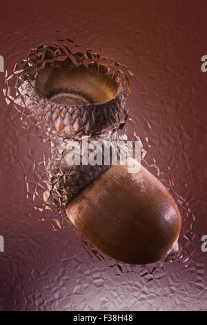 design of acorns on the background of a broken mirror Stock Photo