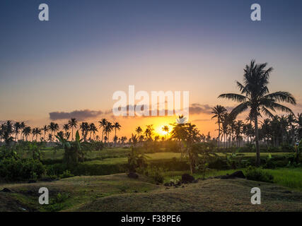 Aerial View: Flying over the tropical coast. Fisherman house. Stock Photo