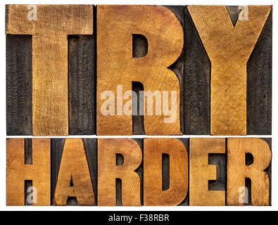 try harder motivational advice -isolated text in vintage letterpress wood type Stock Photo