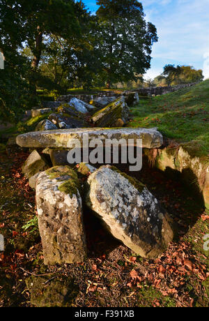 The remains of Chesters Bridge part of Hadrian's Wall near Chollerford, Northumberland. Stock Photo