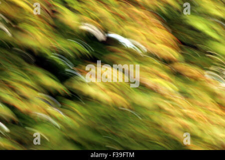 Blurred dot bokeh stock photo is ideal for backgrounds, textures, prints, websites and many other abstract light art image uses! Stock Photo