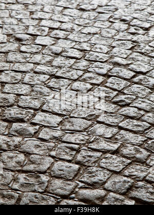 Cobblestone pavement shot from low viewpoint, background Stock Photo