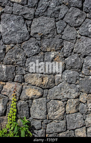 Volcanic Stone wall, useful for background. Stock Photo