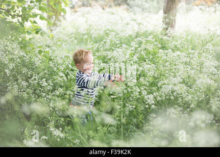Boy playing in cow parsley field