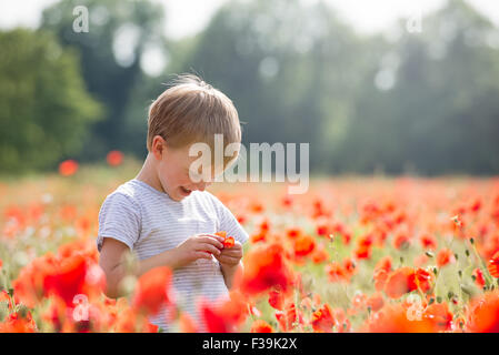 Smiling Boy standing in a poppy field Stock Photo