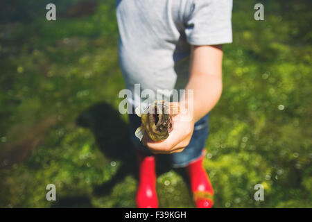 Boy holding a freshly caught fish Stock Photo