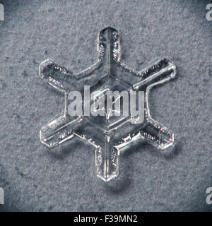 Single melting snowflake macro with gray/blue background Stock Photo