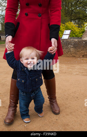 Baby walking whilst holding his mums hands for balance. Stock Photo