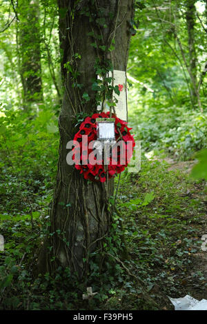 Memorial to a fallen soldier of the 36th Welsh Regiment in Mametz Wood who perished during the Bettle of the Somme in July 1916 Stock Photo