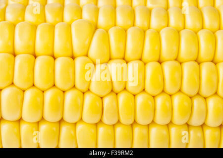 macro shot of ripe corn grains Stock Photo