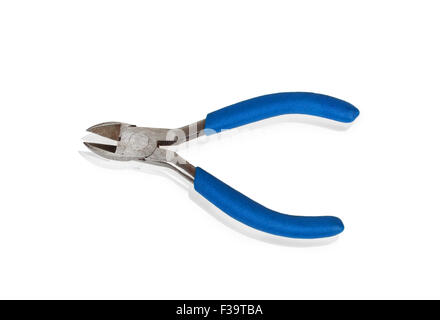 Blue nipper isolated on white background Stock Photo