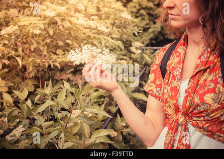 A young woman is picking elderflowers Stock Photo